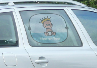 Colored Sun Shade on a car