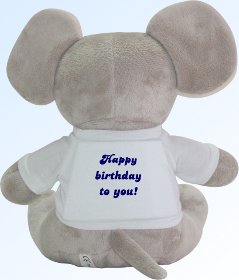 Elephant back