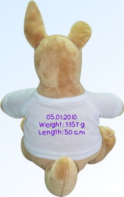 Kangaroo back