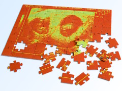 Ultraschallbild Puzzle